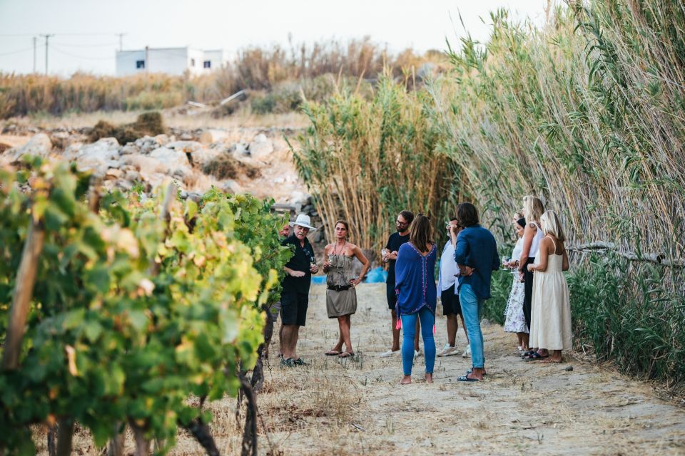 Naxos: Full Moon Dinner and Wine Tasting in a Vineyard - Important Information