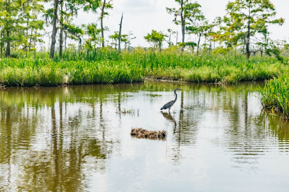 New Orleans: Discover the Surrounding Swamps by Airboat - Directions