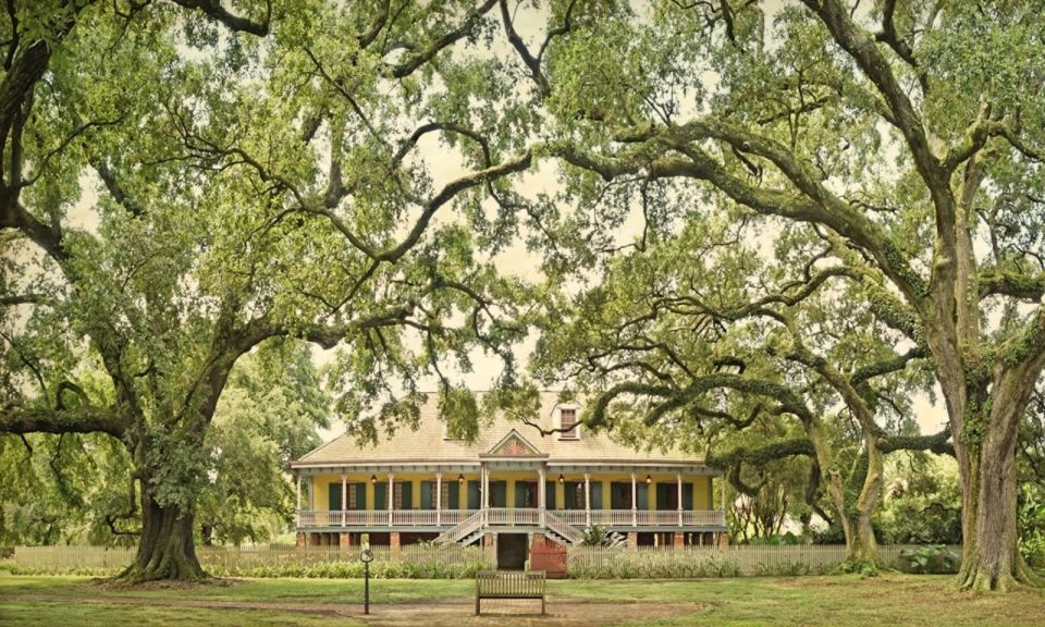 New Orleans: Oak Alley or Laura Plantation & Airboat Tour - Tour Availability
