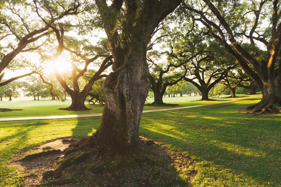 New Orleans: Oak Alley Plantation and Swamp Cruise Day Trip - Inclusions