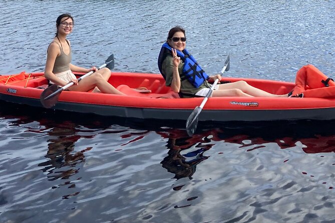 New Smyrna Dolphin and Manatee Kayak and SUP Adventure Tour - Tour Highlights and Experience