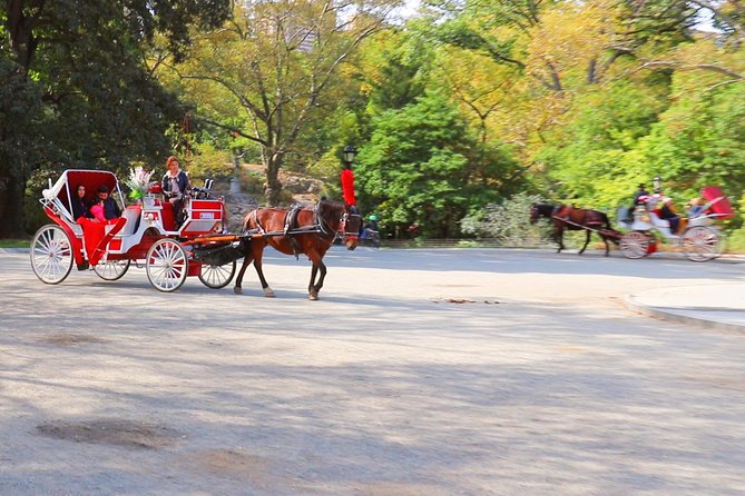 New York City: Central Park Private Horse-and-Carriage Tour - Service Improvements