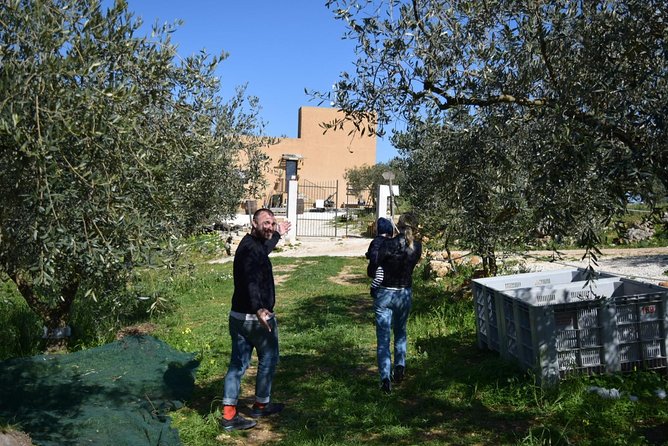 Olive Oil Experience - Experience Logistics
