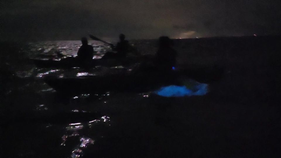 Orlando: Bioluminescence Kayak and Swim Adventure - Meeting Point