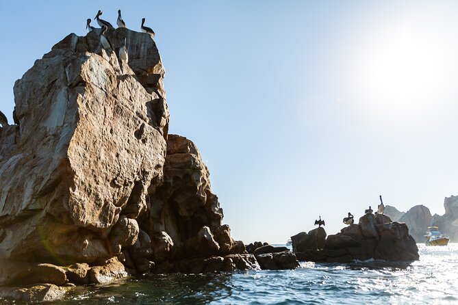 Paddleboard Expedition to the Arch of Cabo San Lucas, Lovers Beach & Snorkel - Booking and Cancellation Policy