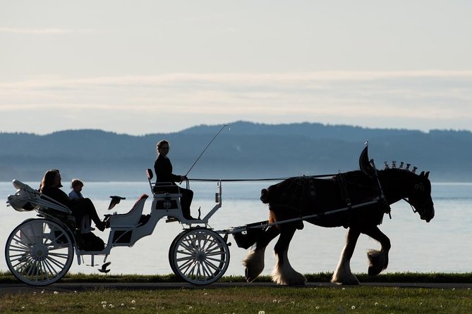 Premier Horse-Drawn Carriage Tour of Victoria - Additional Tour Information