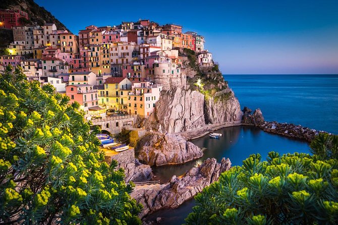 Private Cinque Terre & Pisa Day Trip From the Port of Livorno - Final Words