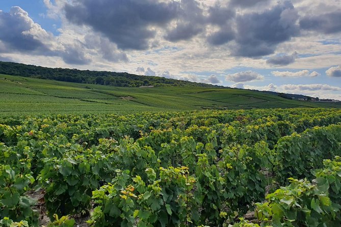 Private Day Trip From Paris to Reims and the Champagne Region - Inclusions and Exclusions