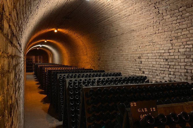 Private Guided Tour in Champagne From Paris With Moet&Chandon Visit. - Pricing Details