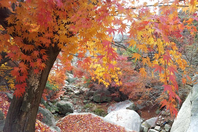 Private Hiking to Bukhansan & Korean Style Spa(Include Lunch) - Essential Tour Details