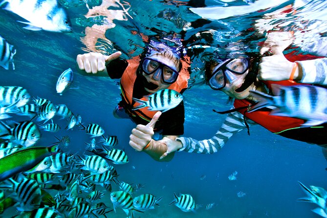 Private MUSA Snorkeling Experience at Isla Mujeres and Cancun - Snorkeling Experience Highlights