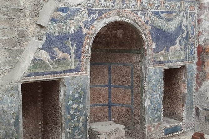 Private Walking Tour Through the Historical City of Herculaneum - Traveler Reviews