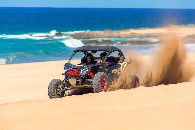 Real Baja Tour Aboard an Off-Road RZR in Los Cabos  - Cabo San Lucas - Customer Reviews