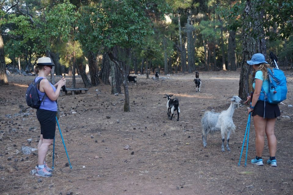 Rhodes: Hike Mountain Profitis Ilias From Salakos Village - Technical Information