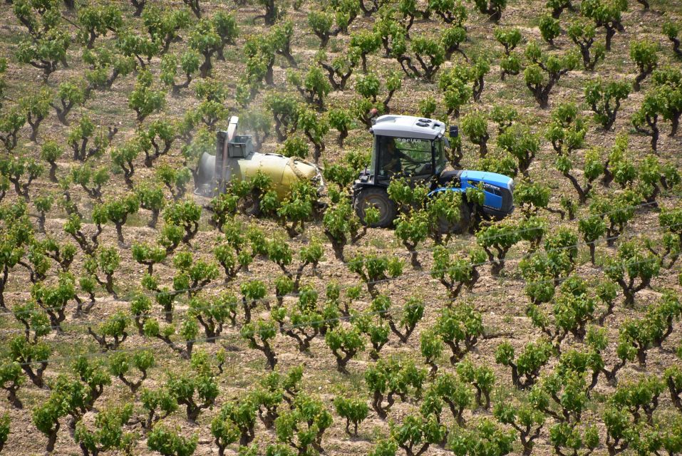 Rioja Alta and Rioja Alavesa Wine Tour (from Rioja) - Background