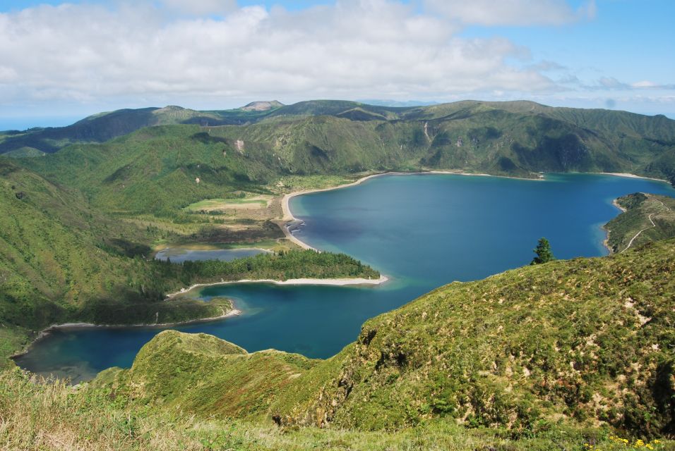 São Miguel: Whales & Volcano Full-Day Tour With Lunch - Common questions