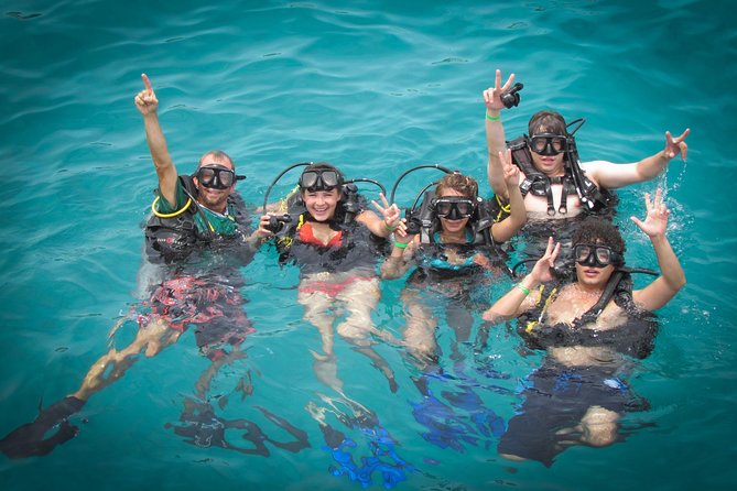 Scuba Diving - Trip Ends at Meeting Point