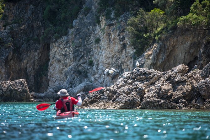 Sea Kayaking Tour Sea Caves Lefkada (Half Day) - Common questions
