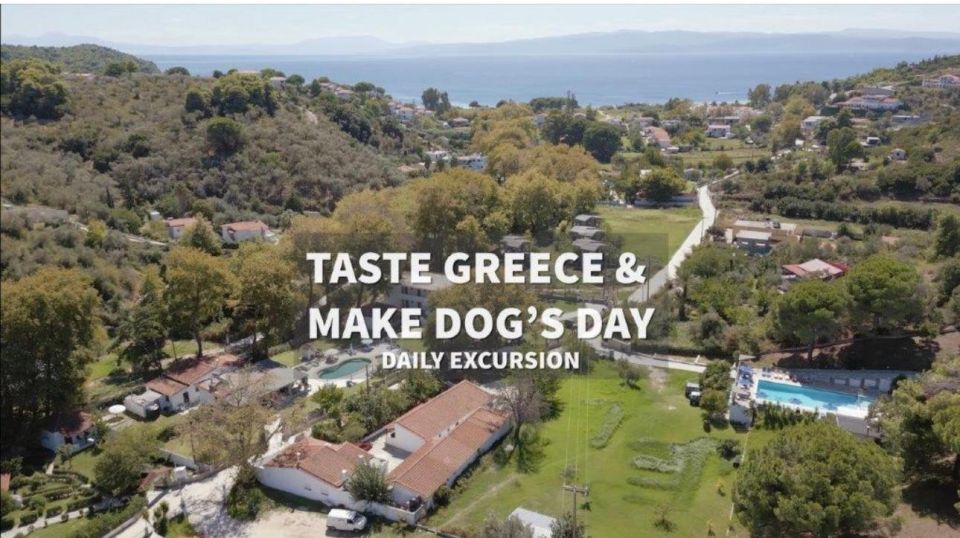Skiathos: Dog Shelter Visit, Hike & Cooking Class With Lunch - Not Suitable For