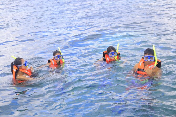 Snorkeling Adventure in Puerto Morelos Includes Snack, Water and Round Trip. - Transfer Inclusions and Exclusions