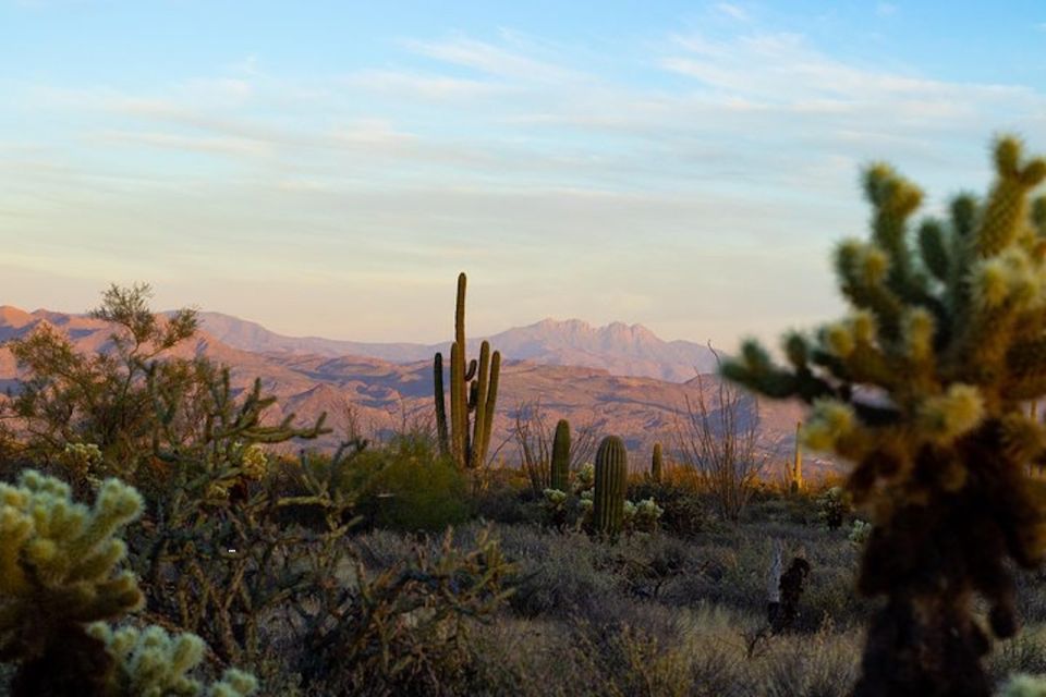 Sonoran Desert: Sunset Jeep Tour With Tonto National Forest - Rating & Additional Information