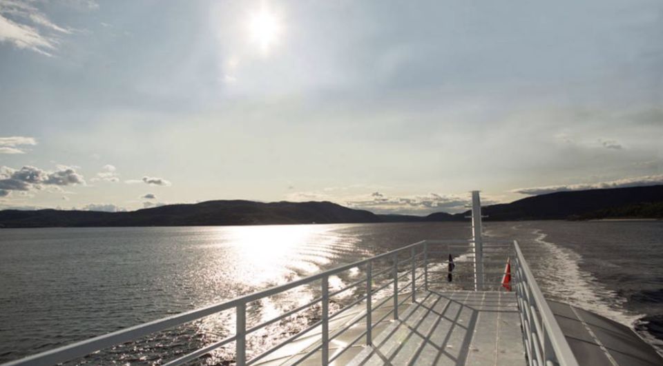 Tadoussac: VIP Lounge or Upper Deck Whale Watching Cruise - Amenities and Inclusions