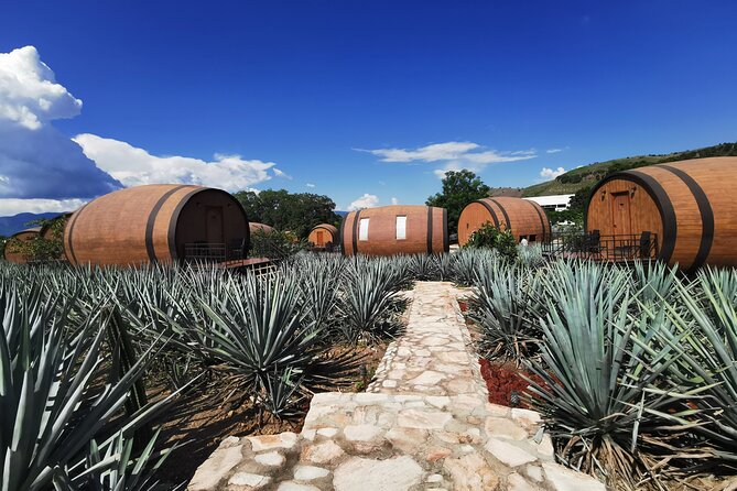 Tequila Day Experience Including Hacienda Cofradia With Lunch - Overall Recommendation and Highlights
