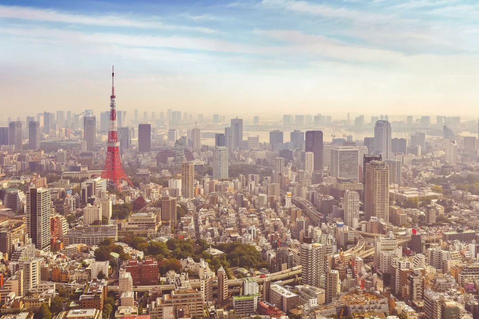 Tokyo: 10-Hour Customizable Private Tour With Hotel Transfer - Comfortable Private Transportation