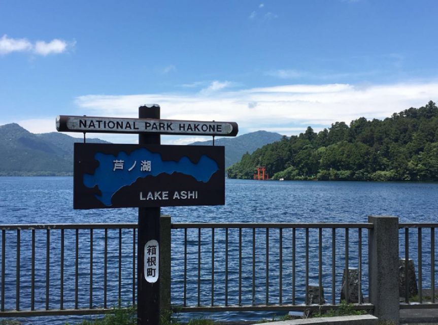 Tokyo: Mt Fuji Area, Lake Ashi, Owakudani, Onsen 1-Day Tour - Customer Reviews