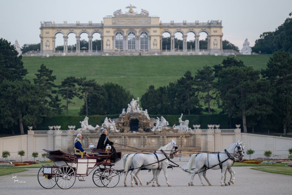 Vienna: Carriage Ride Through Schönbrunn Palace Gardens - Additional Information for Visitors