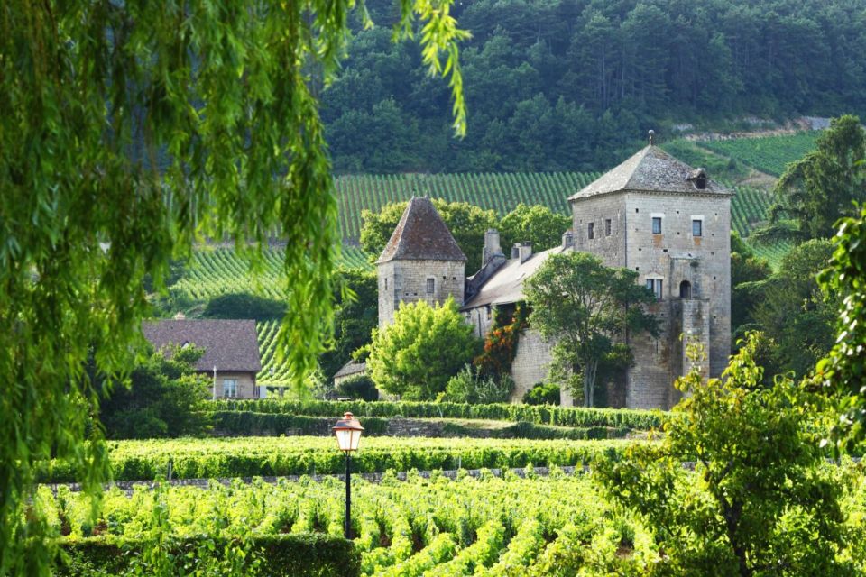 Vineyards of Beaune Driving a 2CV With a Picnic - Gourmet Picnic Menu