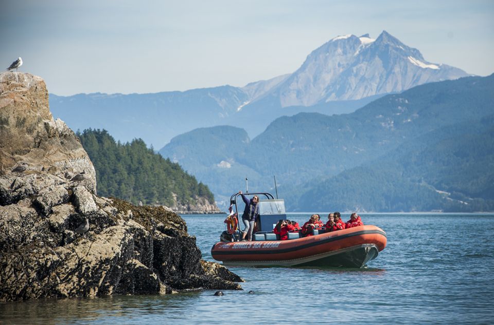 West Vancouver: Howe Sound and Bowen Speedboat Tour - Experience Highlights and Itinerary