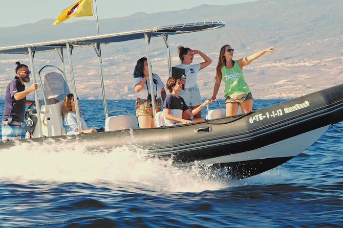 Whale and Dolphin Watching EcoAdventure in Tenerife - EcoAdventure Highlights