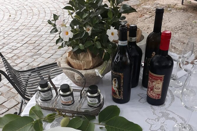 Wine Tasting in Frascati From Rome - Guest Reviews