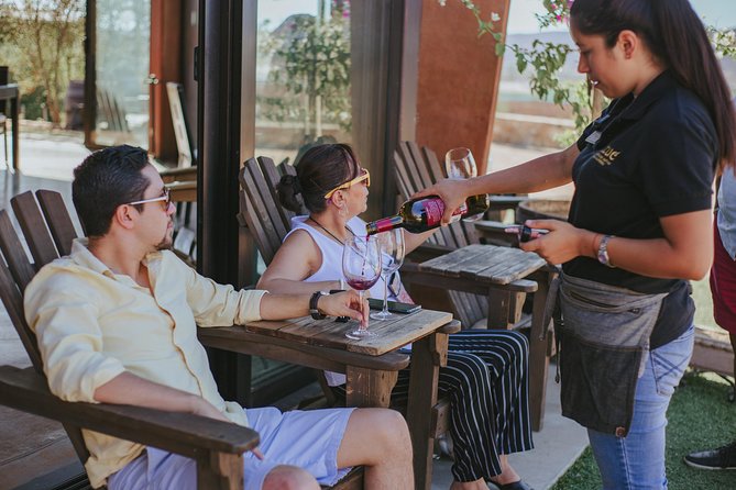 Xecue Wine Tasting in the Guadalupe Valley - Small Group Personalized Tours