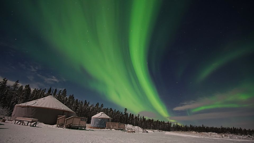 Yukon: Aurora Borealis Late Night Viewing Tour - Inclusions