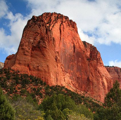 Zion National Park Day Trip From Las Vegas - Cancellation Policy and Fees