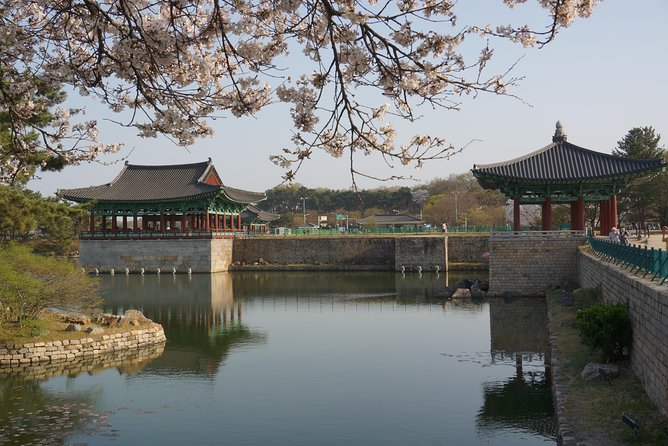 3-Days 2-Nights Gyeongju UNESCO Sites & Busan City [Private Tour From Seoul] - Important Tour Policies
