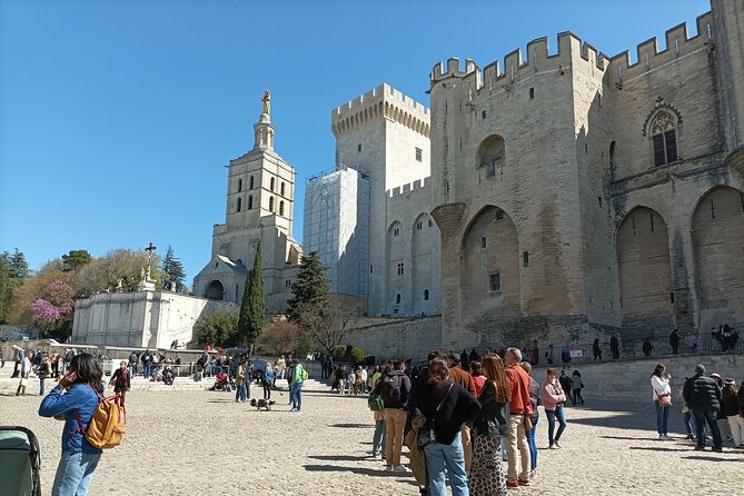 Avignon Private Tour - Review Summary