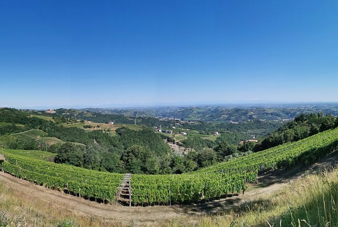 Barolo&Barbaresco Wine Tour With a Local Winemaker - Local Winemaker Insights