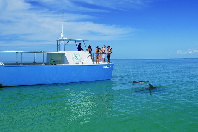Biologist-Guided Adventure: Dolphin Watching and Key West Reefs - Final Words