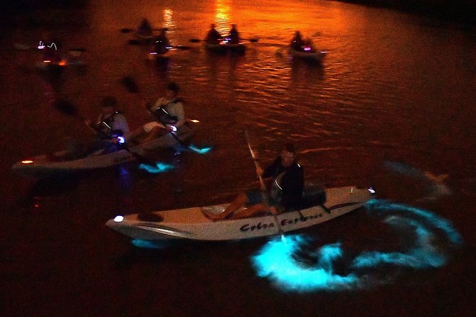 Bioluminescent Kayak Tour. Fin Expeditions Is Cocoa Beaches Top Rated Kayak Tour - Final Words