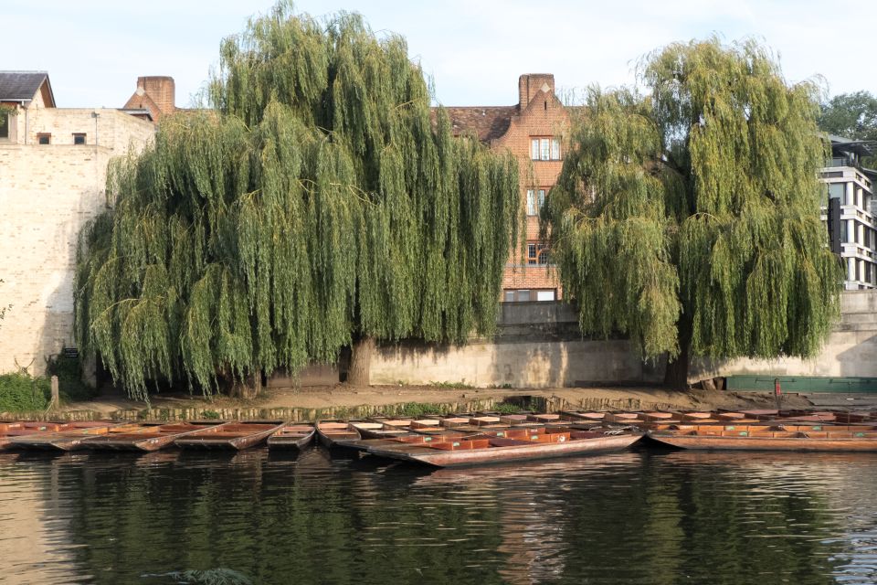 Cambridge: Punting Tour on the River Cam - Accessibility and Options