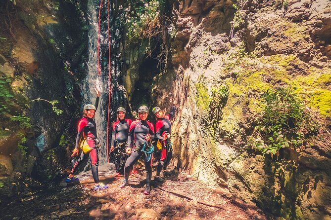 Canyoning With Waterfalls in the Rainforest - Small Groups ツ - Reviews and Pricing