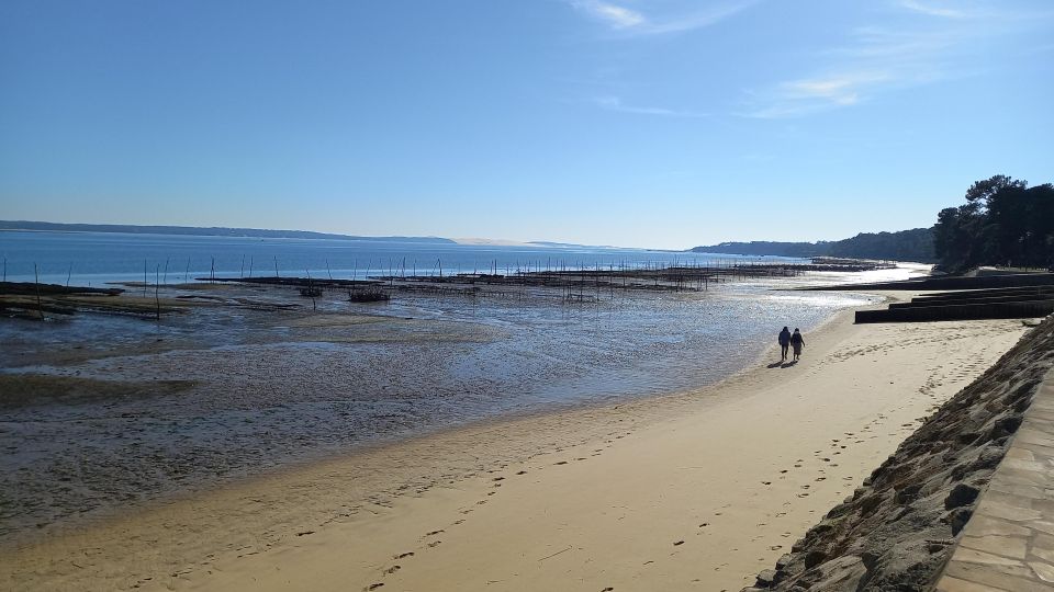 Cap-Ferret With Oysters Tasting - Final Words