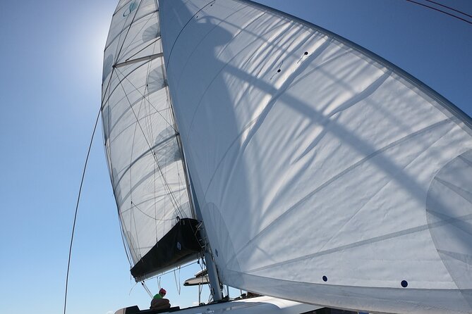 Catamaran in Alghero, Daily Boat Trip - Common questions