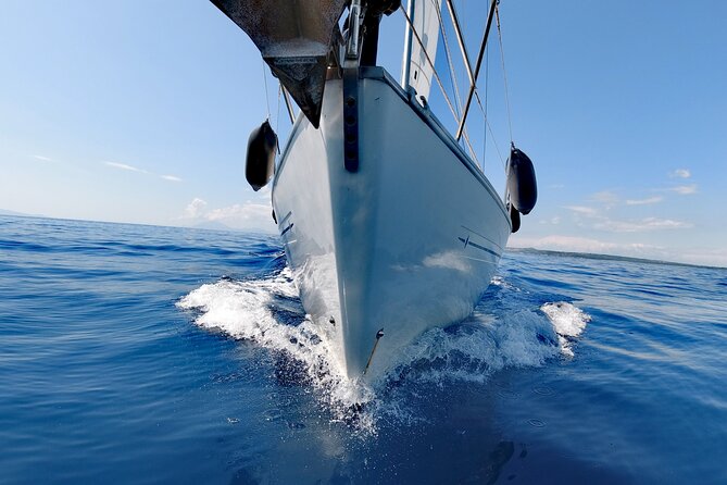 Chania Sailing Cruise, Swim, Snorkel, Lighthouse & Harbor Tour  - Crete - Final Words