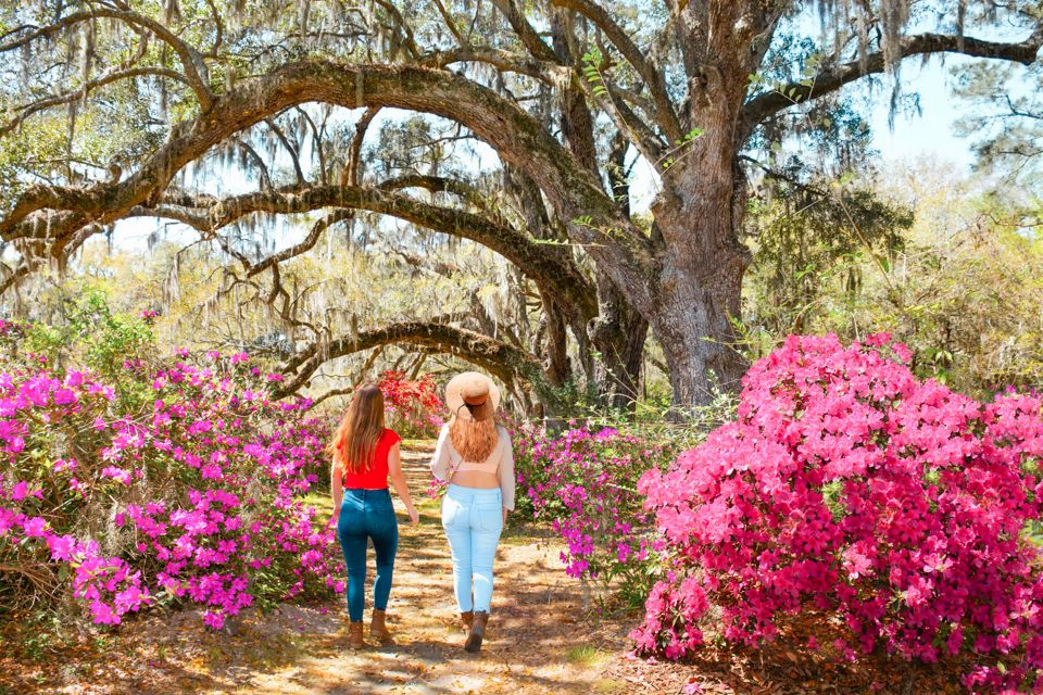 Charleston: Magnolia Plantation Entry & Tour With Transport - Important Information for Participants