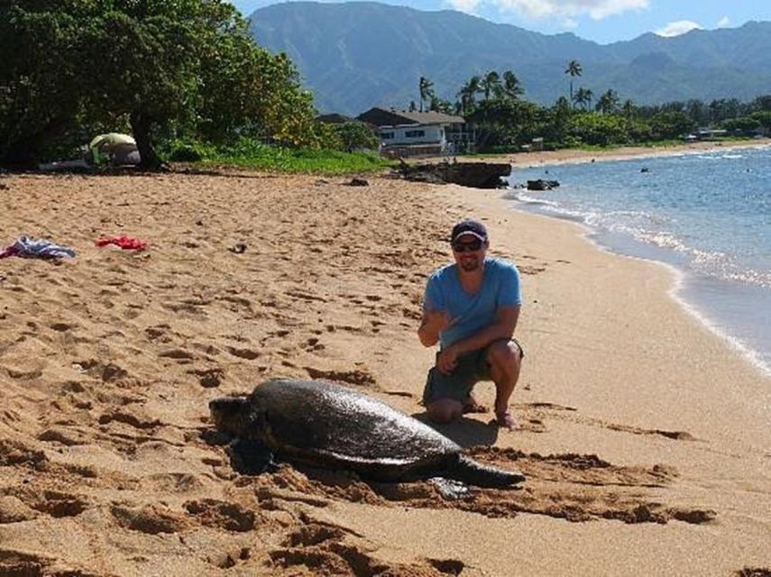 Circle Island: Swim With Turtles And Explore Paradise Oahu - Pickup and Drop-off Locations