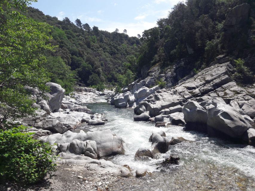 Day Trip From Nîmes to UNESCO Mountains of Cevennes - Final Words